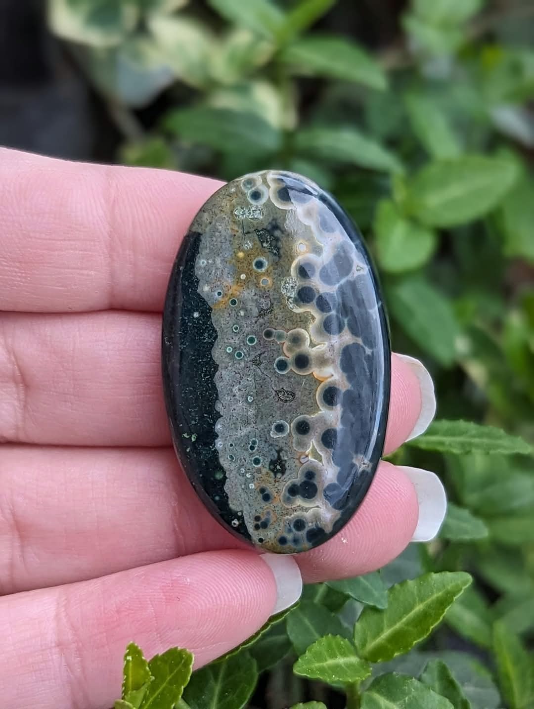 Ocean Jasper Large Oval Cabochon #1