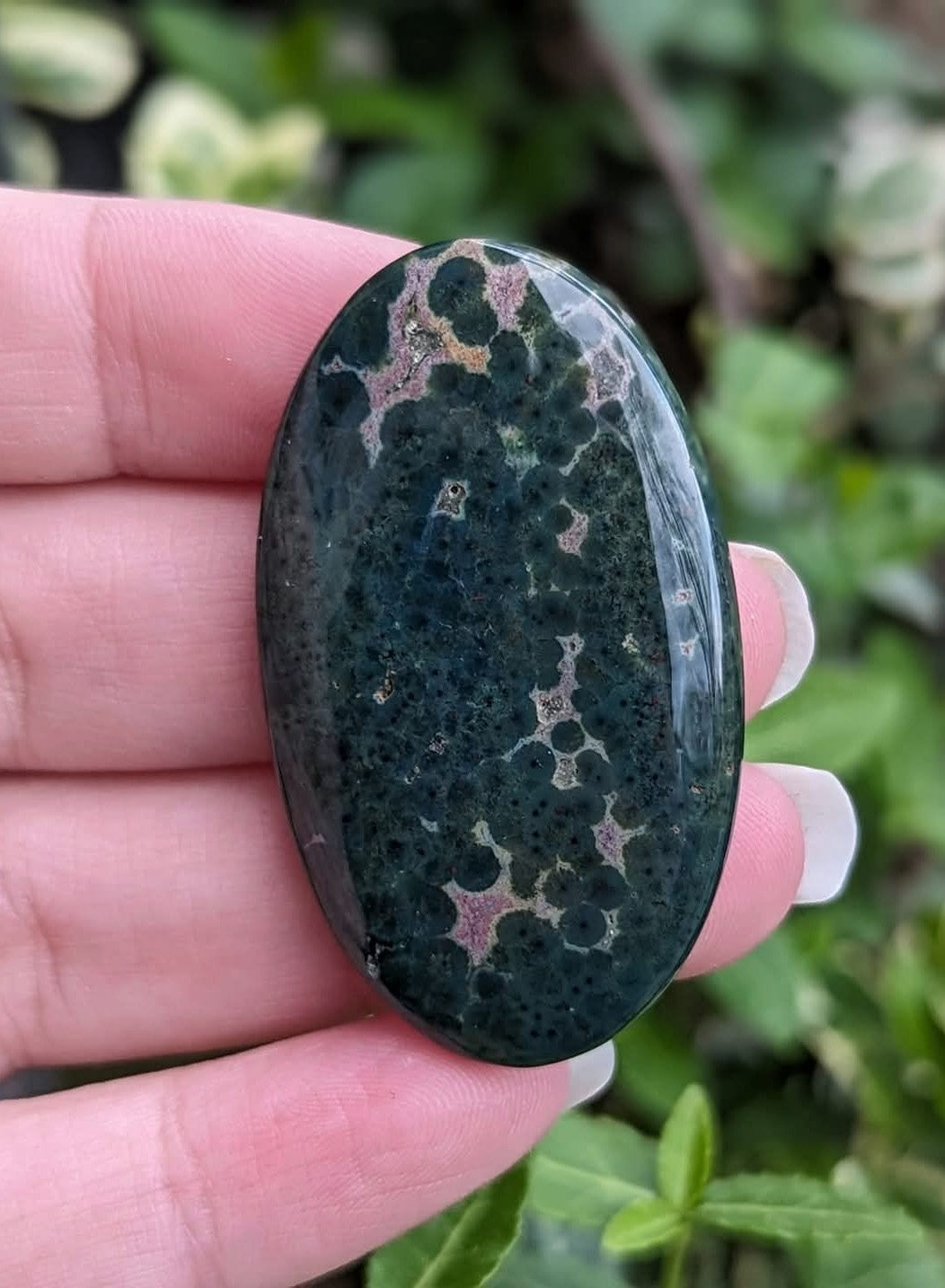 Ocean Jasper Large Oval Cabochon #2