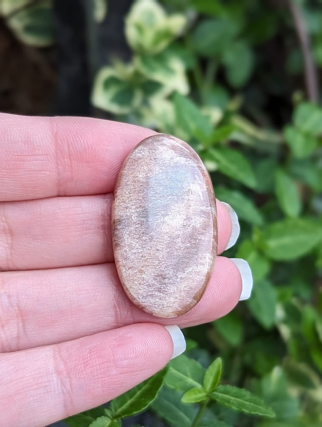 Black Sunstone Oval Cabochon