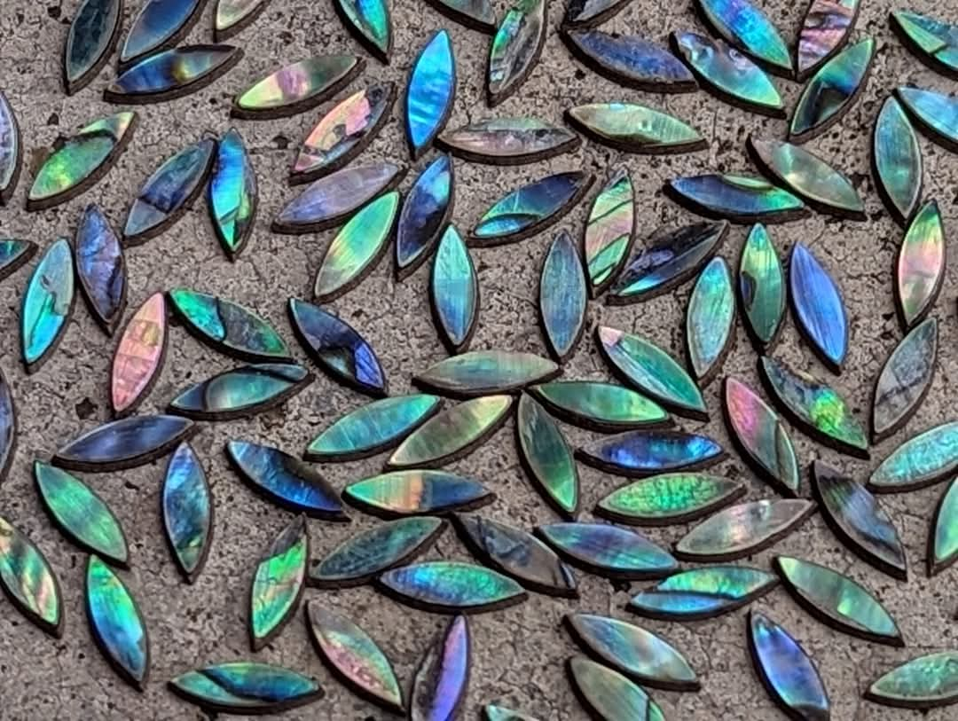 Abalone Marquise Doublet Cabochons (Set of 10)