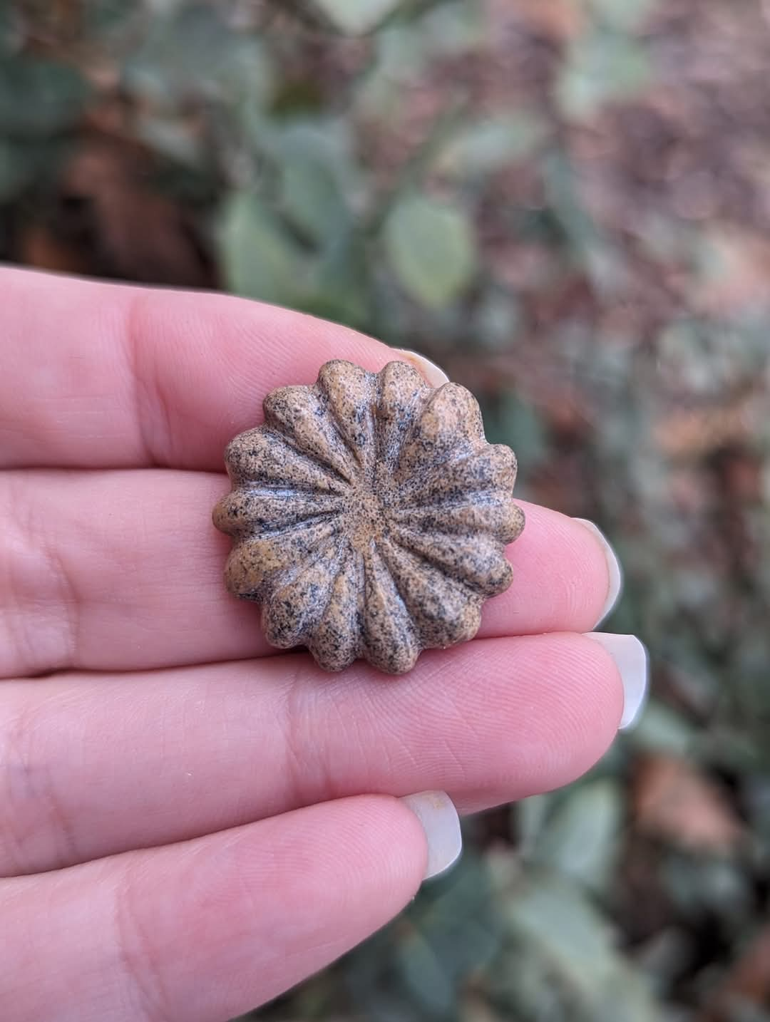 Picture Jasper Flower Cabochon