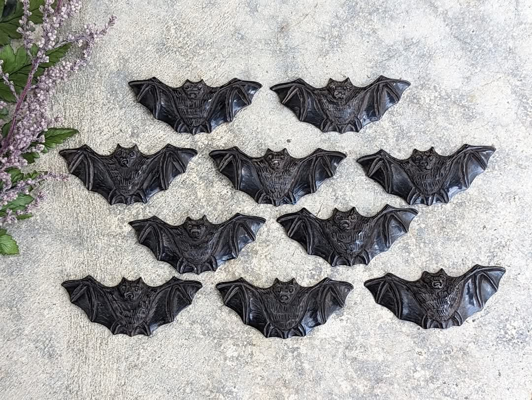 Black Horn Bat Cabochons