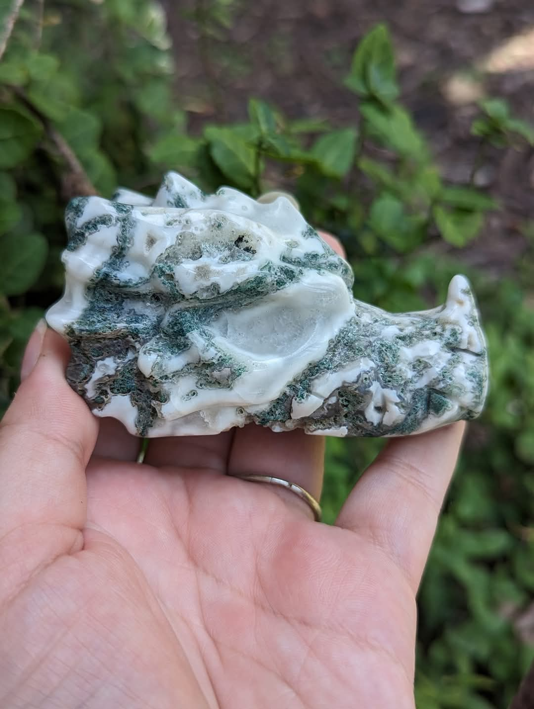 Moss / Tree Agate Dragon Skull Carving