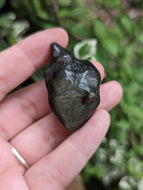 Gold Sheen Obsidian Anatomical Hearts - Large