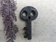 Astrophyllite Skeleton Key