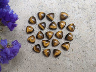 Tigers Eye Trillion Cabochons - 8mm