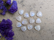 Moonstone Rose Cut Trillions - 10mm