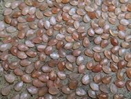 Peach Moonstone Rose Cut Teardrop Cabochons - 4x6mm