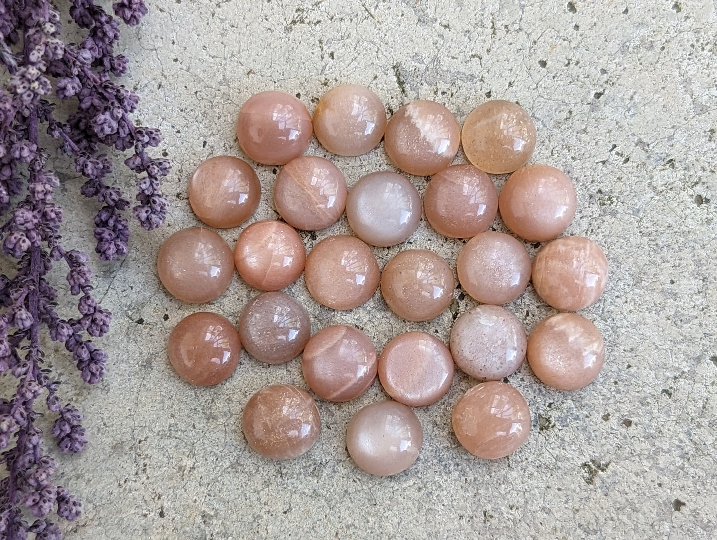 Peach Moonstone Round Cabochons - 9mm