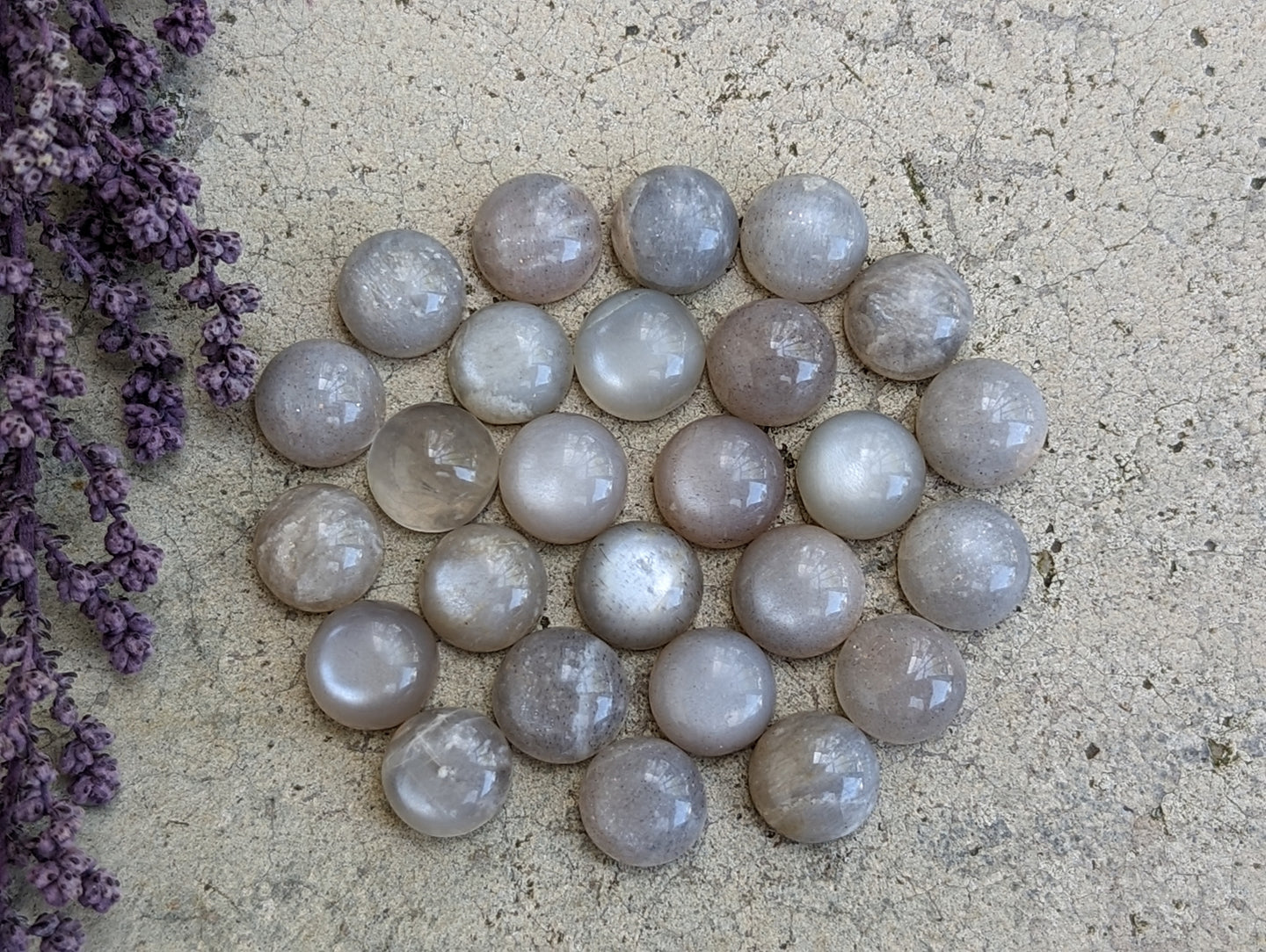 Grey Moonstone Round Cabochons - 9mm