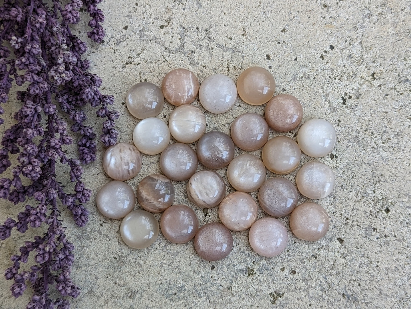 Cream Moonstone Round Cabochons - 9mm