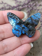 Load image into Gallery viewer, Labradorite Death Head Moth Carving
