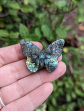 Load image into Gallery viewer, Labradorite Death Head Moth Carving
