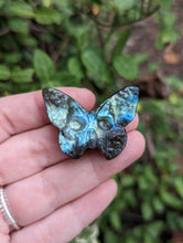 Load image into Gallery viewer, Labradorite Death Head Moth Carving
