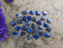 Load image into Gallery viewer, Lapis Lazuli Fancy Fan Cabochons
