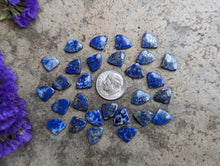 Load image into Gallery viewer, Lapis Lazuli Fancy Fan Cabochons
