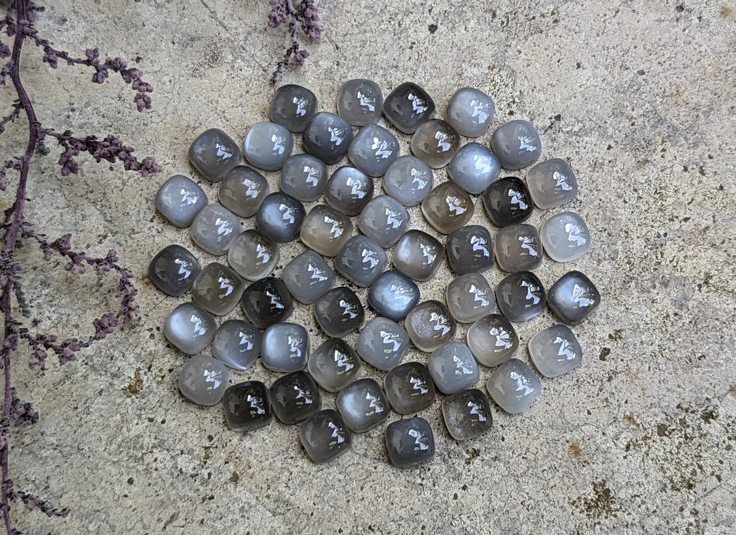 Grey Moonstone Cushion (Square) Cabochons - 7mm