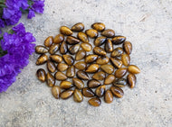 Tigers Eye Teardrop Cabochons -  5x8mm