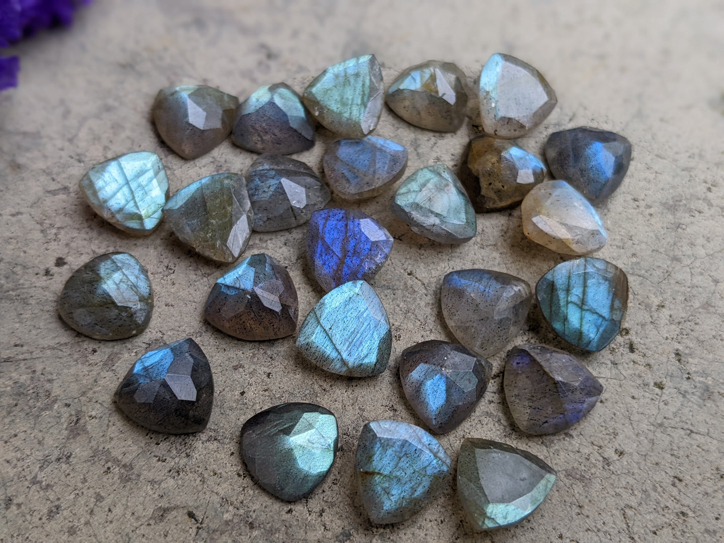 Labradorite Trillion Facets - 8mm