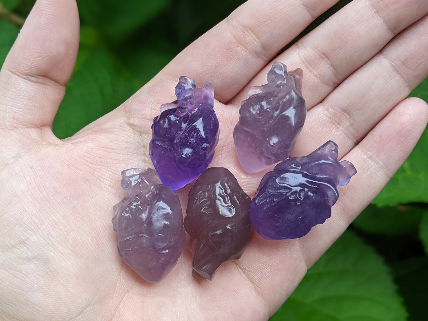 Fluorite Anatomical Hearts