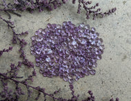 Amethyst Wide Teardrop Facets - 4mm (Light)