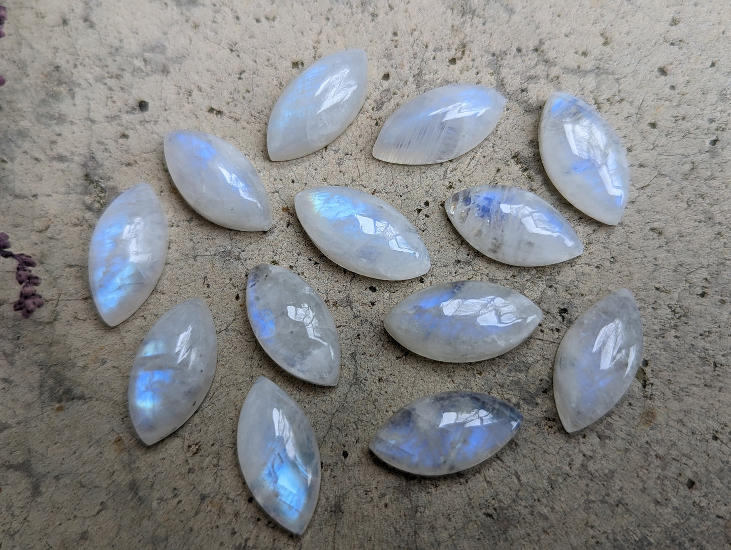 Moonstone Marquise Cabochons - 9x18mm