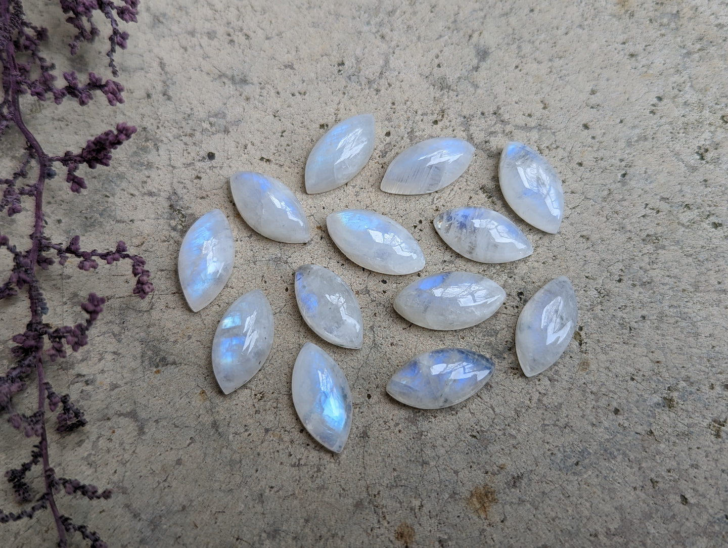 Moonstone Marquise Cabochons - 6x18mm