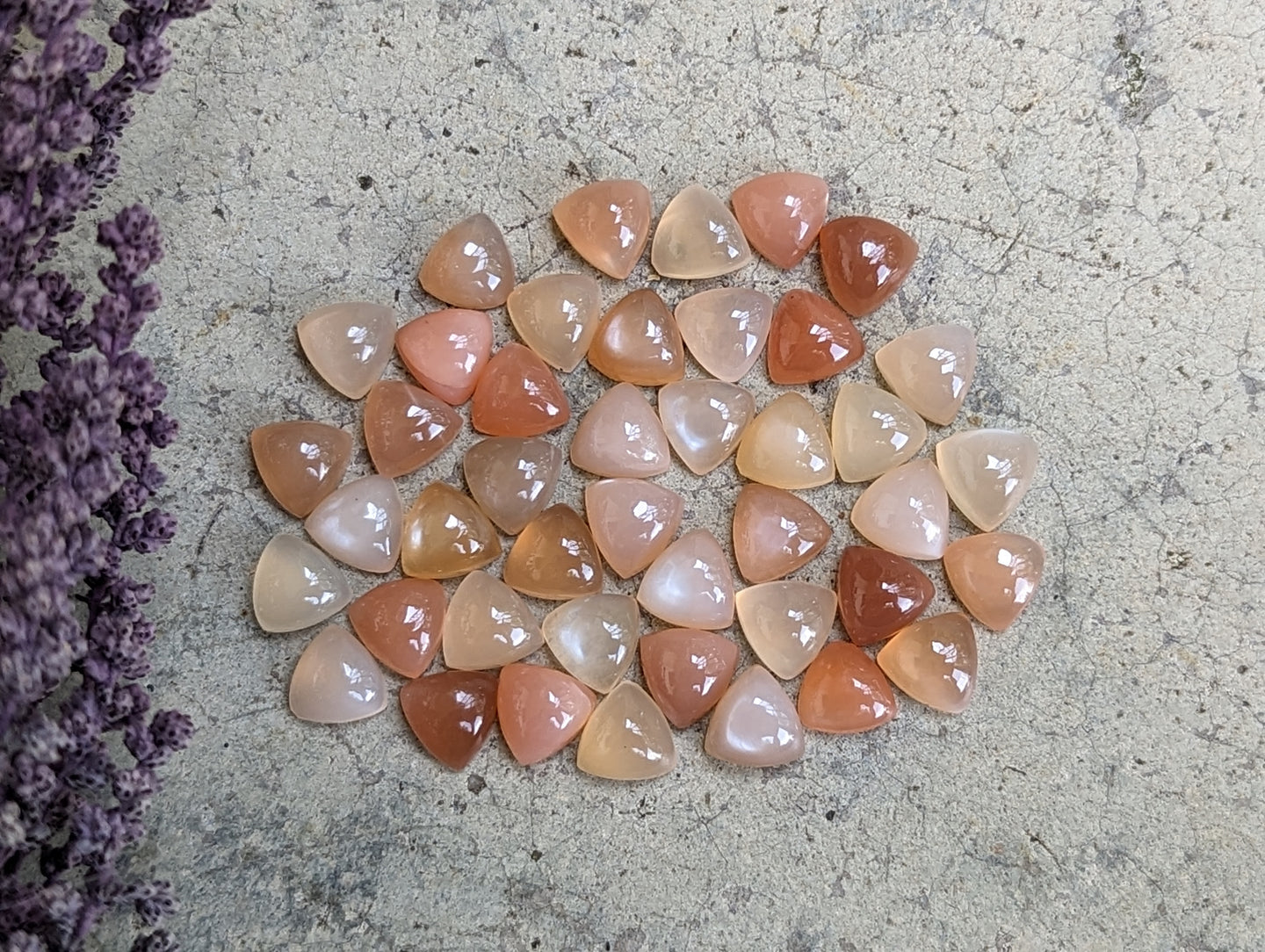 Peach Moonstone Trillion Cabochons - 7mm