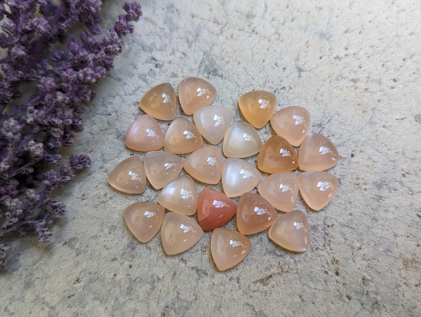 Peach Moonstone Trillion Cabochons - 8mm