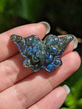 Load image into Gallery viewer, Labradorite Butterfly Carvings
