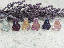 Load image into Gallery viewer, Fluorite Mini Carving - Rabbit
