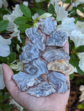 Load image into Gallery viewer, Chalcedony Rosettes - Freeform
