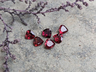Garnet Wide Teardrop Facets - 6mm