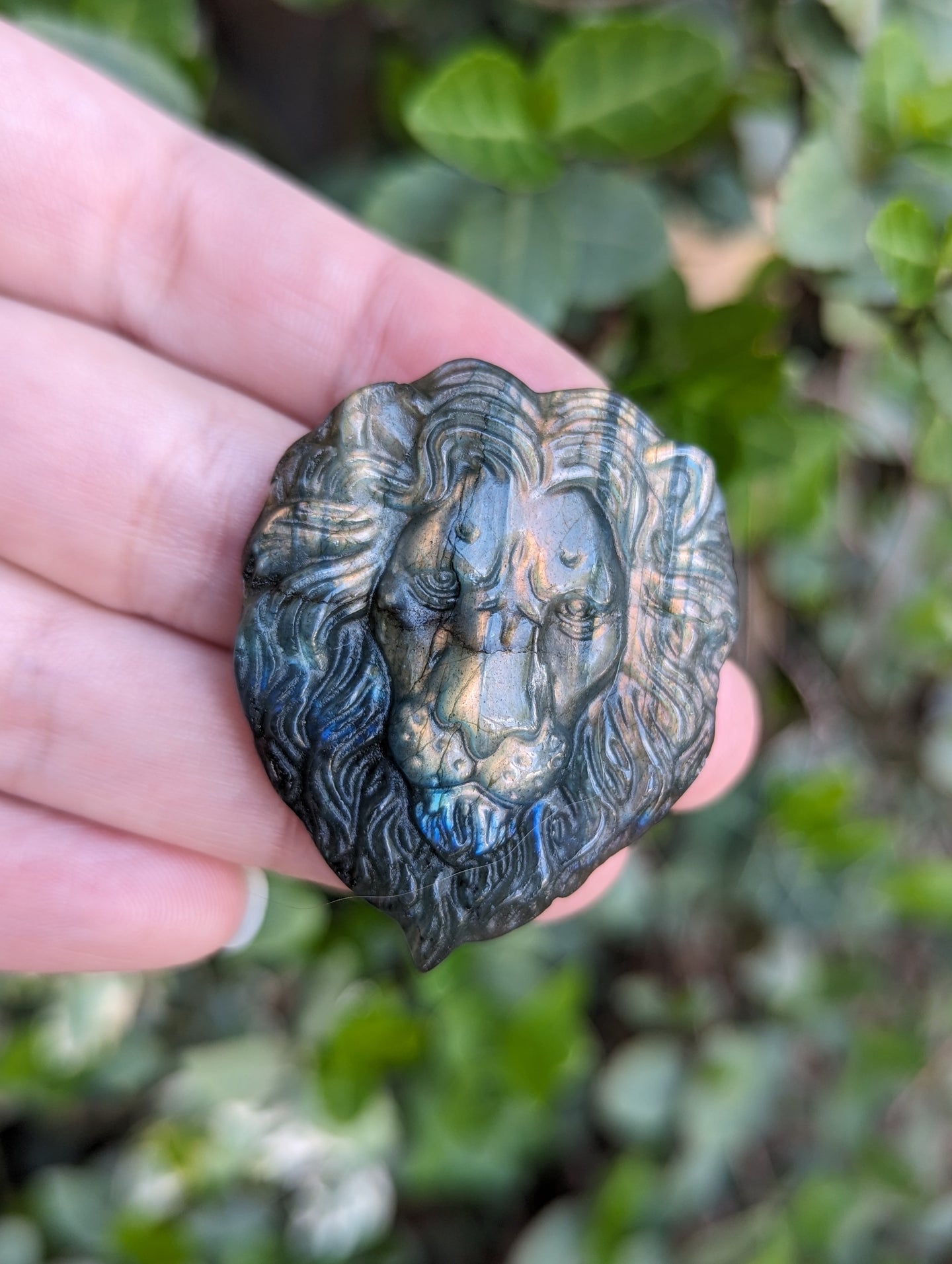 Clearance Labradorite Carvings