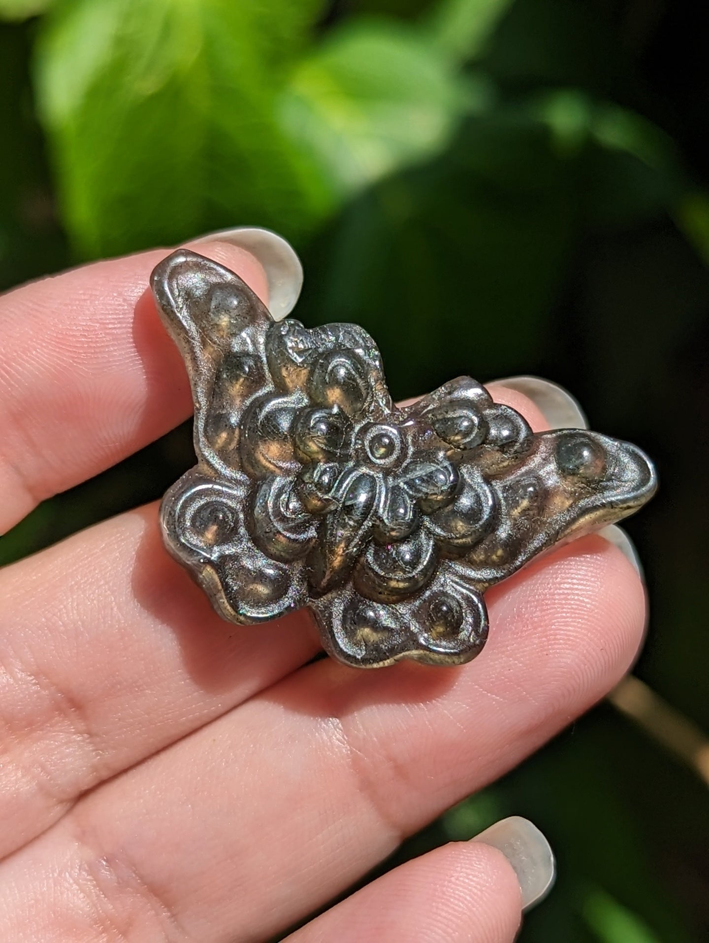 Labradorite Butterfly Carvings