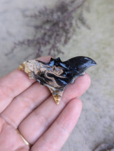 Load image into Gallery viewer, Fossilized Palm Root Bat Cabochon
