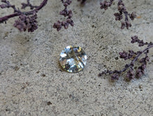 Load image into Gallery viewer, Prasiolite (Green Amethyst) Rose Cut Round Facets - 9mm
