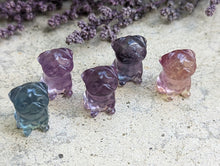 Load image into Gallery viewer, Fluorite Mini Carving - Pug
