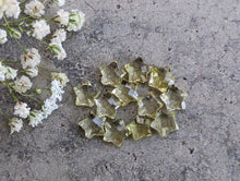 Load image into Gallery viewer, Lemon Quartz Partially Drilled Star Rose Cuts

