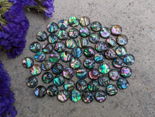 Load image into Gallery viewer, Abalone Round Cabochons - 10mm
