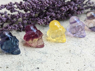 Fluorite Mini Carving - Skull with Octopus