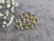 Lemon Quartz Partially Drilled Star Rose Cuts