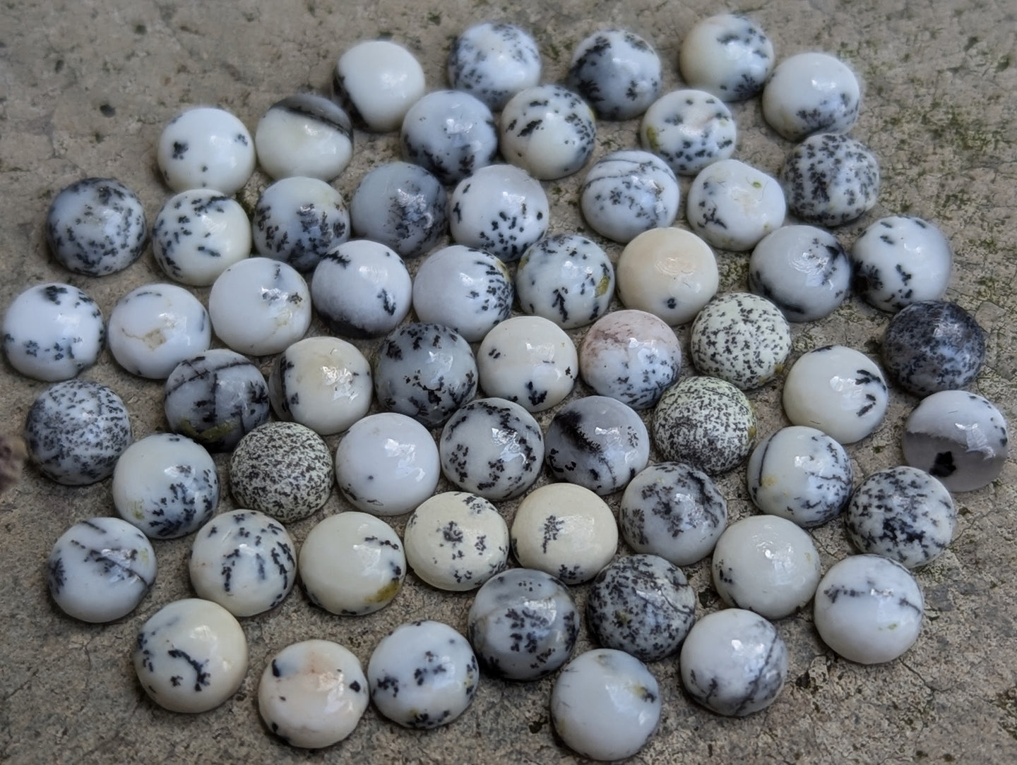 Dendritic Opal Round Cabochons - 5mm