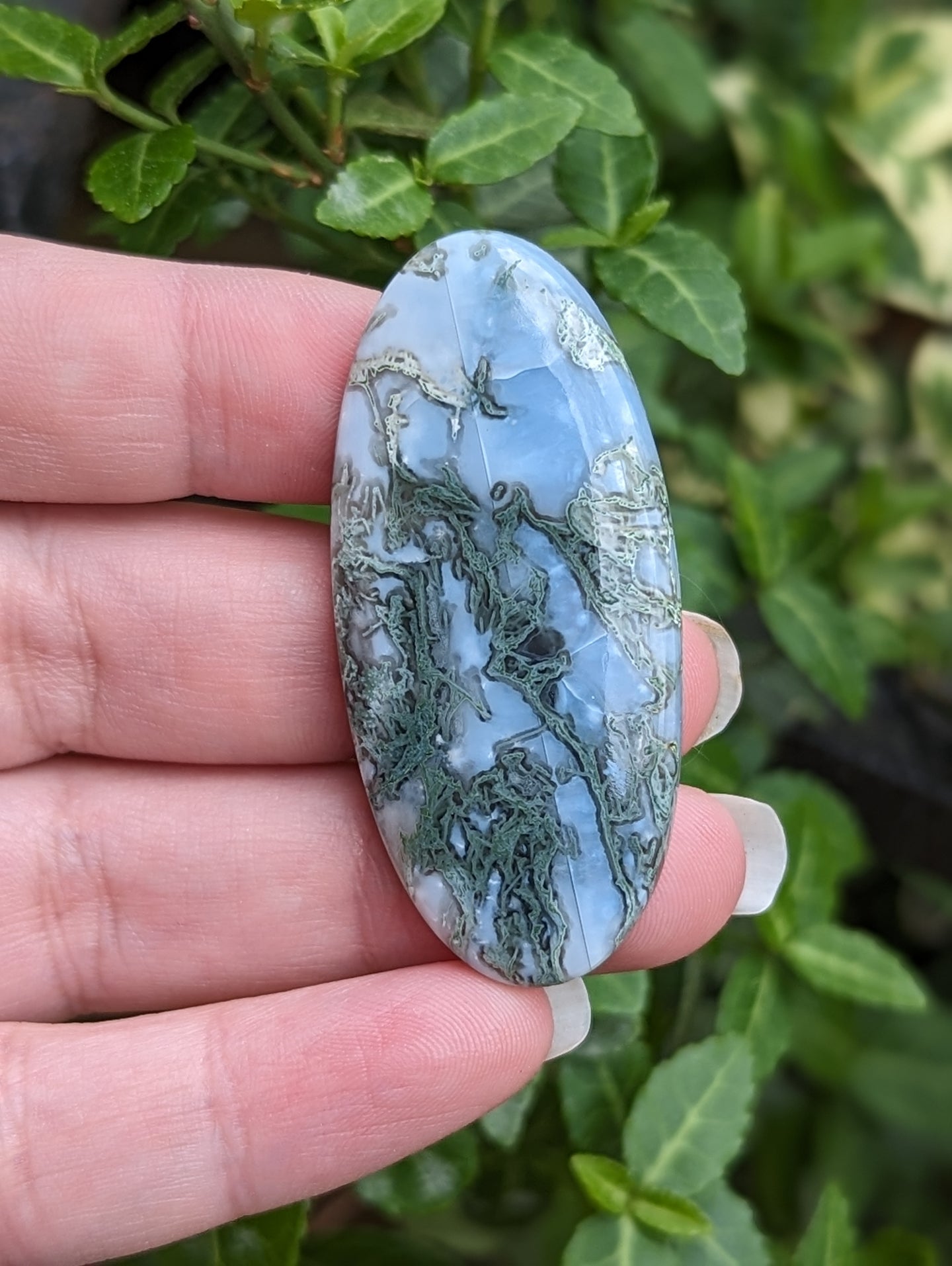 Owyhee Blue Opal with Moss Agate Cabochons - Large