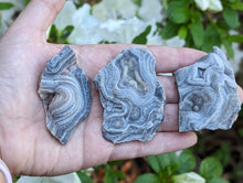 Load image into Gallery viewer, Chalcedony Rosettes - Freeform
