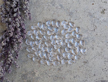 Load image into Gallery viewer, Clear Quartz Teardrop Cabochons - 5x8mm
