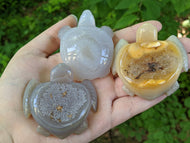Druzy Agate Turtles
