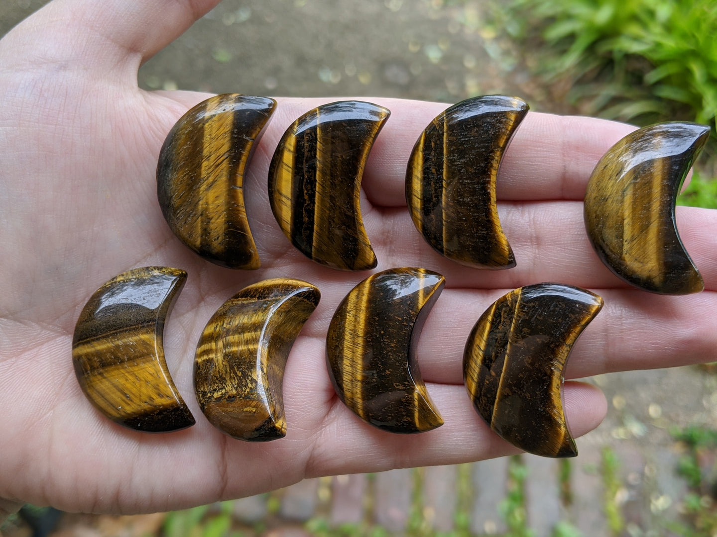 Tigers Eye Puffy Crescent Moons