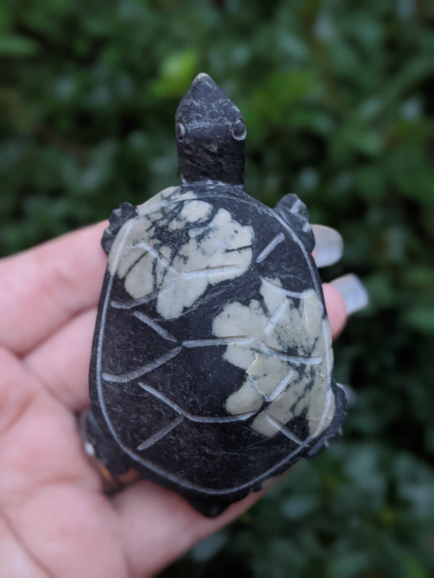 Chrysanthemum Peony Stone Turtle