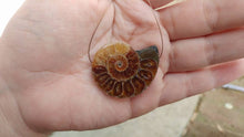Load image into Gallery viewer, Ammonite Fossil Halves (Drilled)
